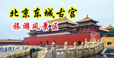 骚逼痒了被大鸡吧操视频中国北京-东城古宫旅游风景区